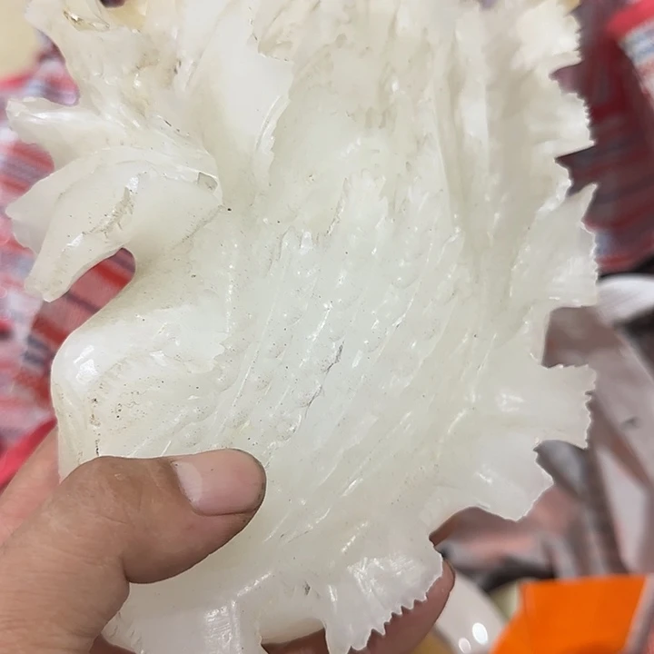 那***年扇子ghggggghghhhh