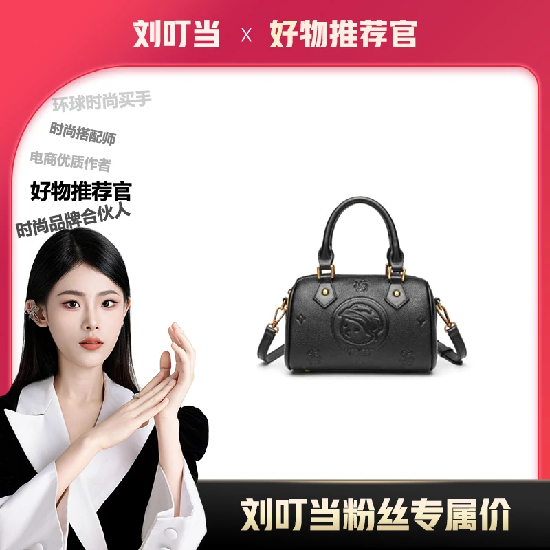 【刘叮当甄选】2025新款时尚简约手提单肩斜挎枕头包