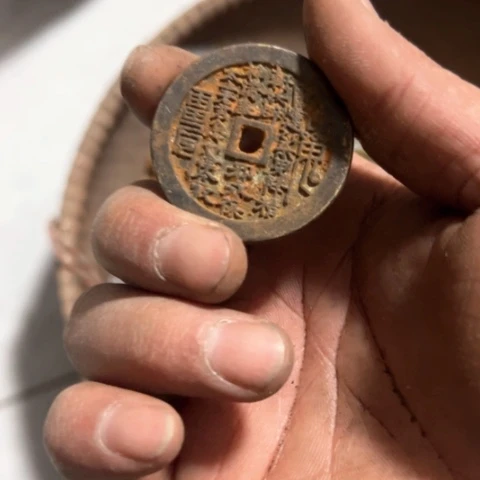 核桃木/黑胡桃（胡桃木）山**夫