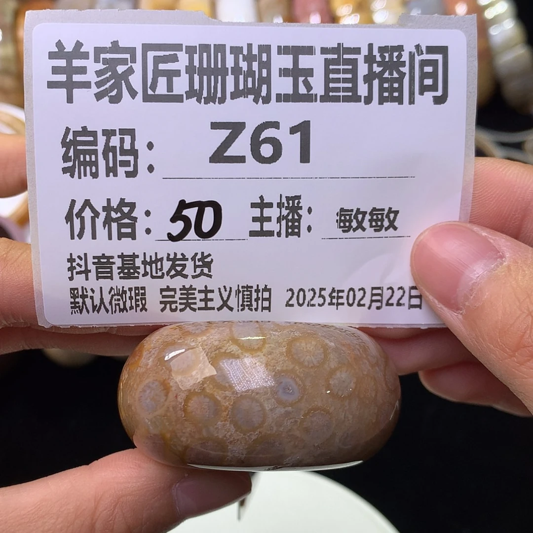 【闪购商品】硅化珊瑚（珊瑚玉）手链未镶嵌m****gZ61