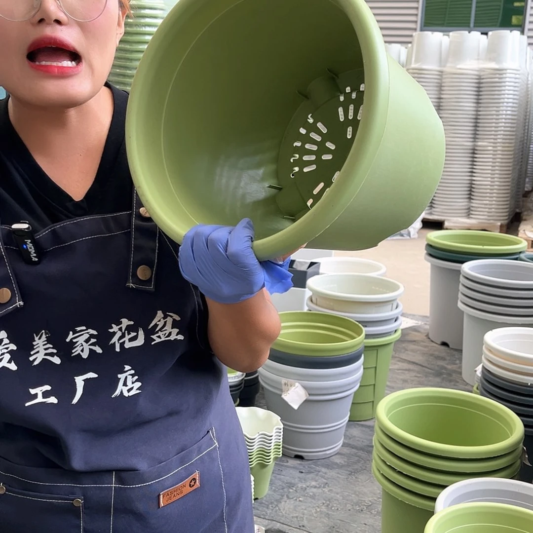 四季盆5#果绿色6个无托