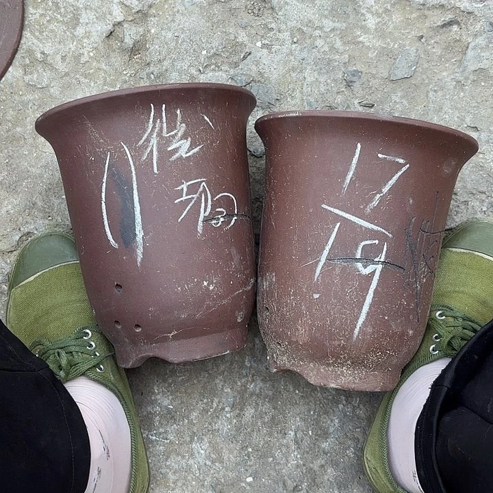 紫砂花瓶紫砂的味道