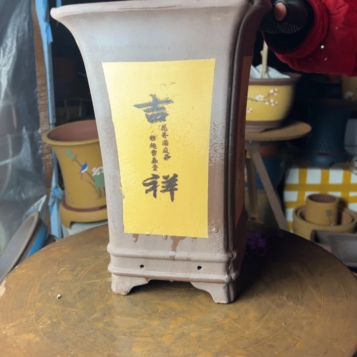 紫砂21黄色四方花盆花盆