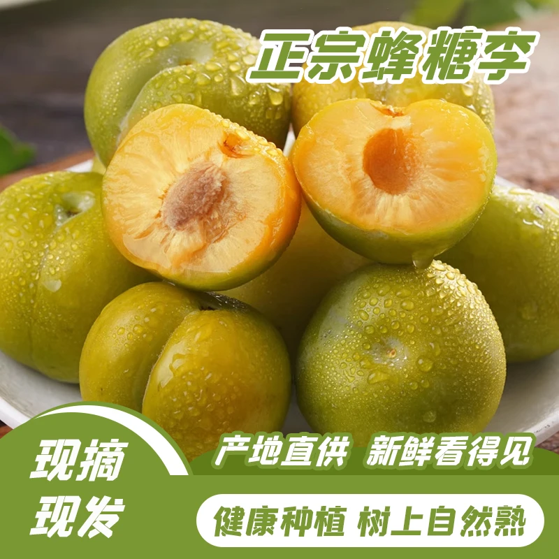 【果园直发】新鲜现摘蜂糖李脆甜多汁