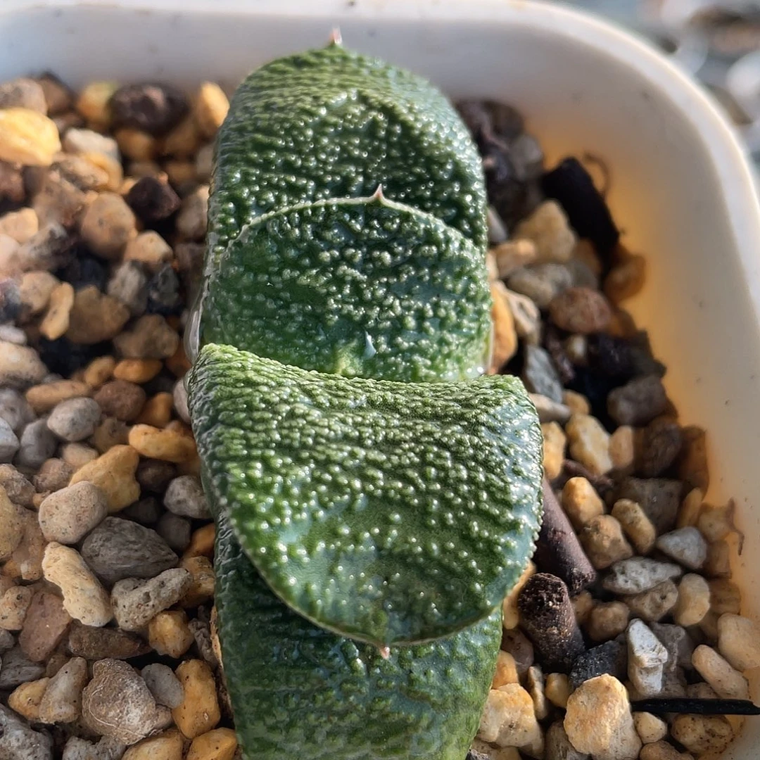 180脱土发货1111111