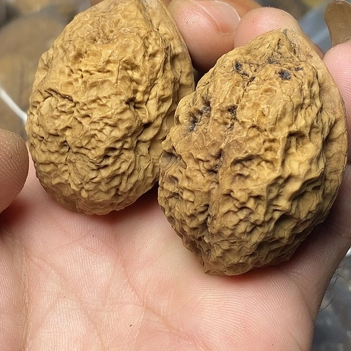 文玩核桃把件云南铁核桃78