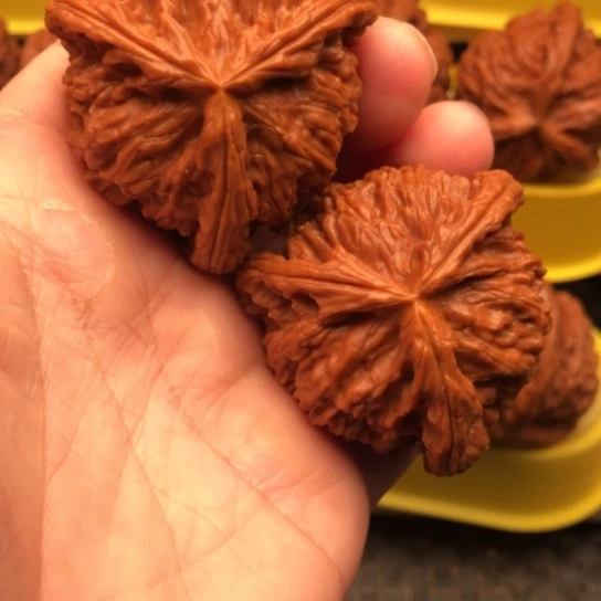 核桃核桃核桃核桃核桃核桃