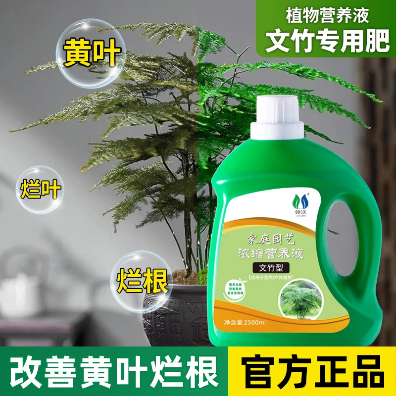 文竹专用营养液阳台家居盆栽办公室桌面绿植通用肥料改善黄叶烂根