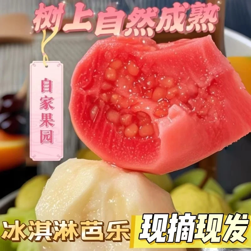 京东包邮福建原产地红心白心奶油芭乐番石榴，3斤，5斤装现摘水果