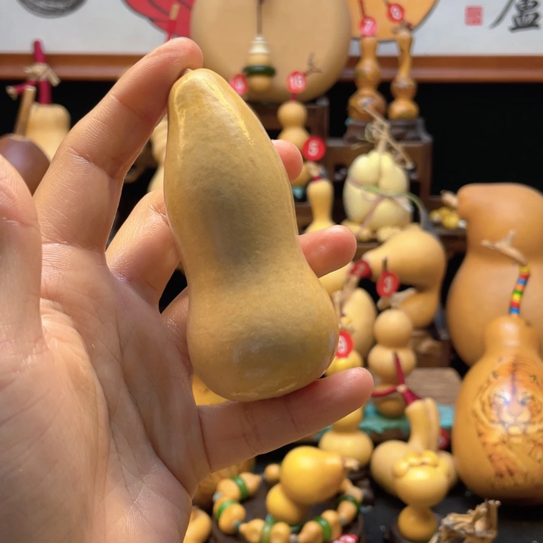 H****y大自然的秘密第十一节的