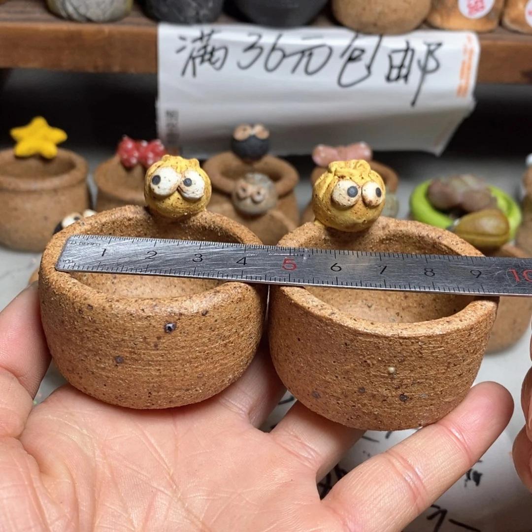 红陶拍5送一个小