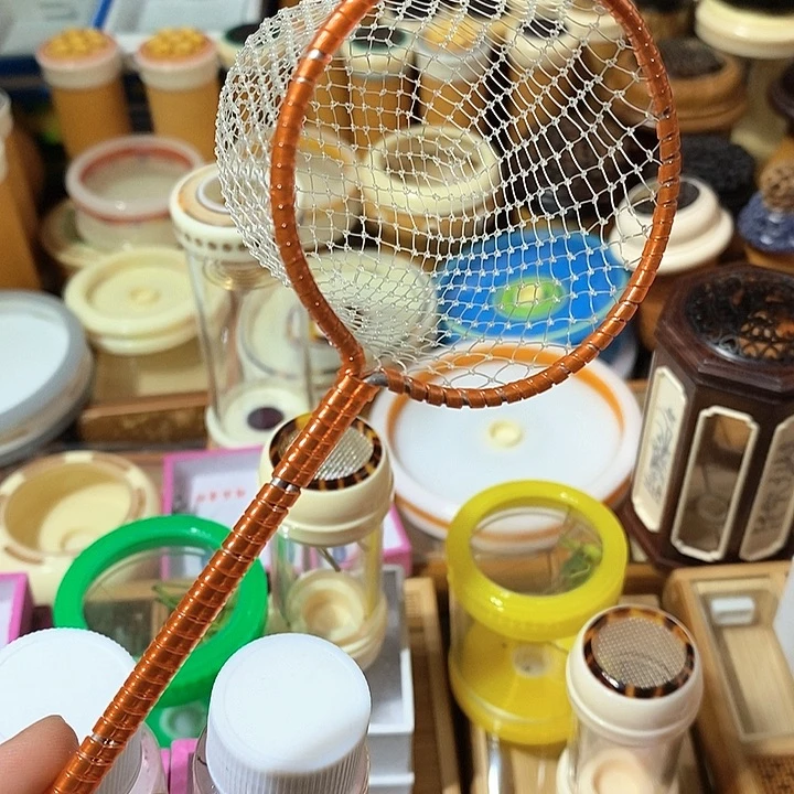 神**洋捉虫网随单-z c cv b