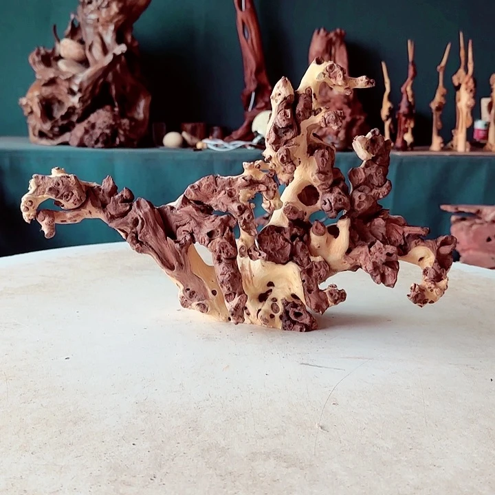 黑果木古*王342金丝红木羊蹄甲半成品有裂痕