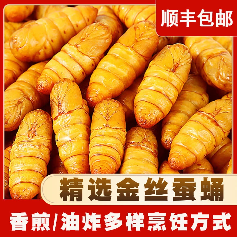［旺哥烧烤餐饮精选］新鲜金丝蚕蛹鲜活冷冻不加盐商用烧烤农家