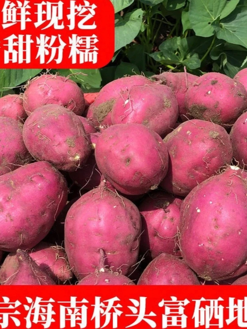 正宗海南澄迈桥头富硒地瓜新鲜上市香甜粉糯板栗味