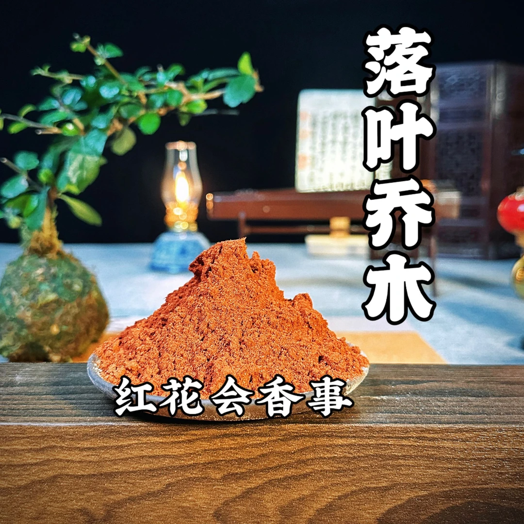 落叶乔木香粉卧室书房茶室