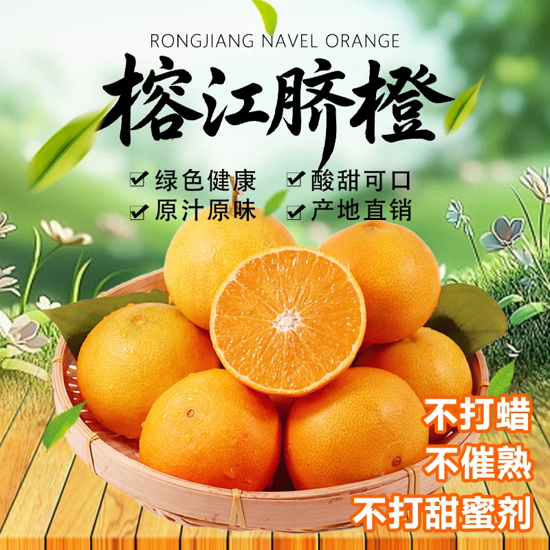 （贵州村超）正宗榕江高山脐橙香甜多汁果园现摘现发顺丰包邮