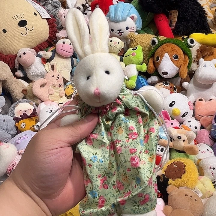 毛绒包包哈哈哈哈