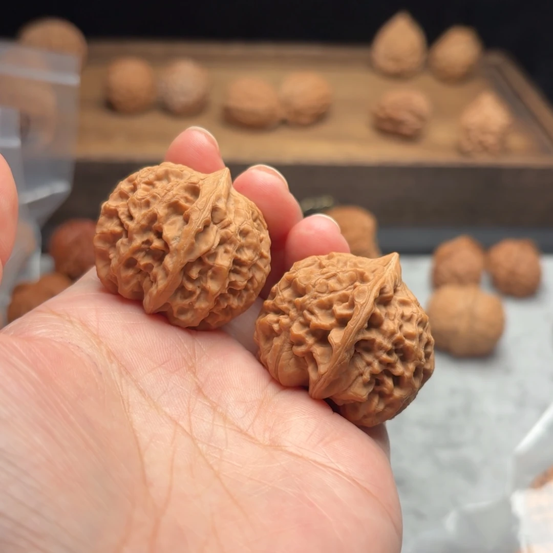 文玩核桃把件太行龙纹【331106】