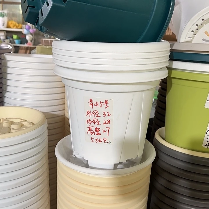 微瑕6#口径32无托纯白5个