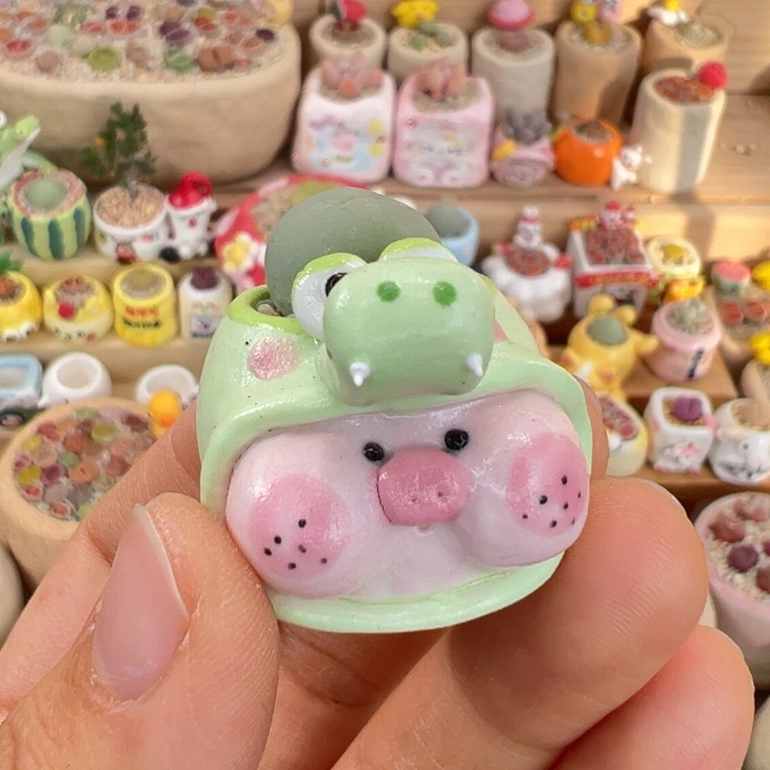 多肉植物60号拇指盆