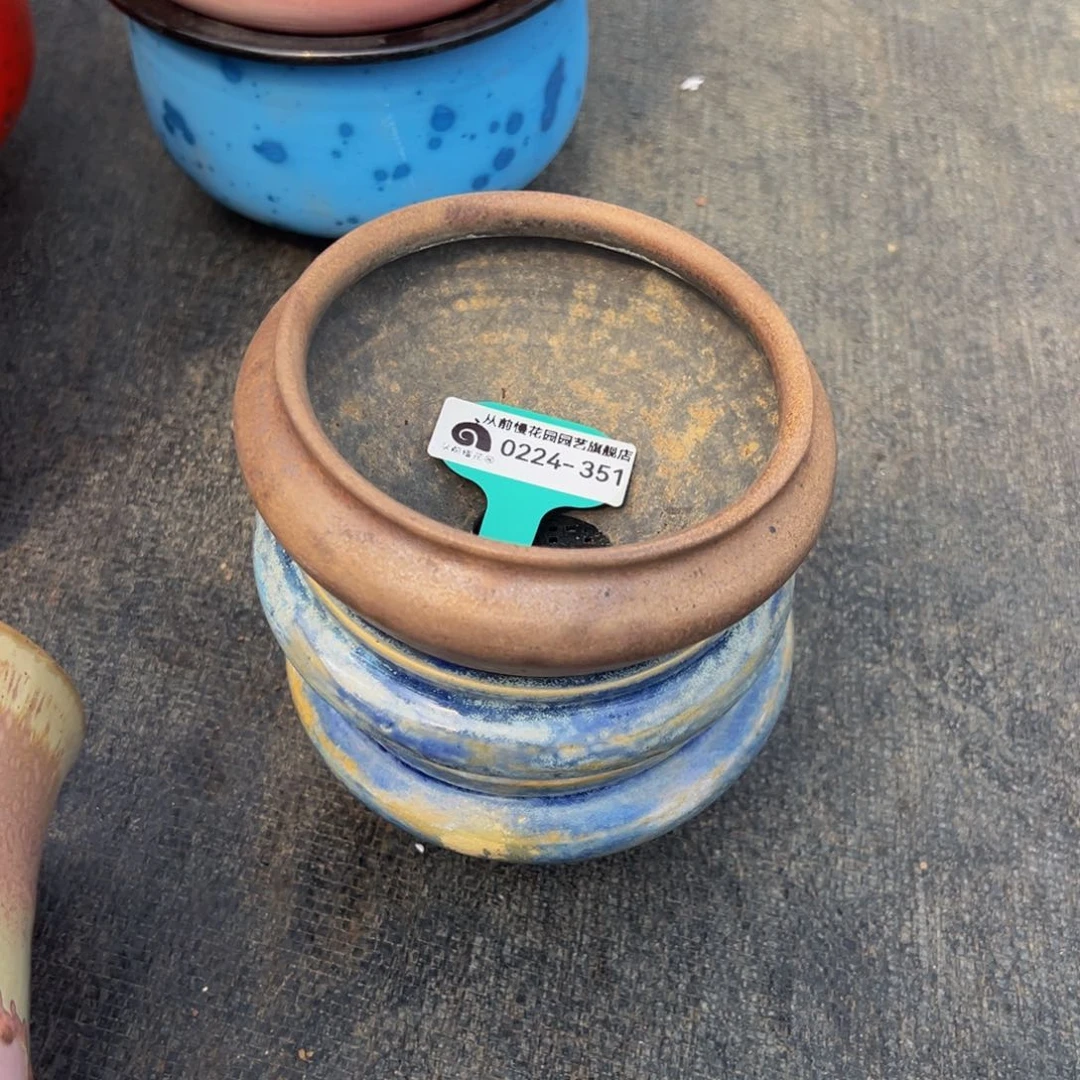 m**k从前慢多肉精选编号0224.351盆3个