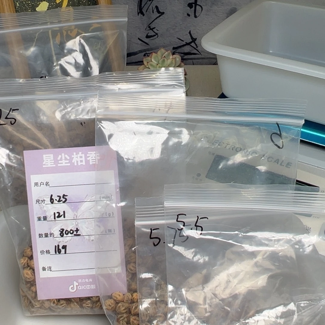 妖***柏香籽/百香籽吊坠