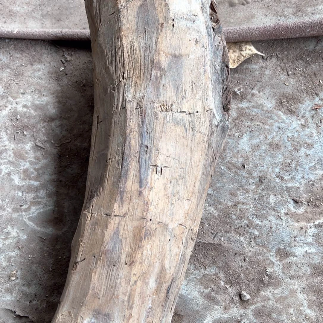 交趾黄檀（大红酸枝）q*c