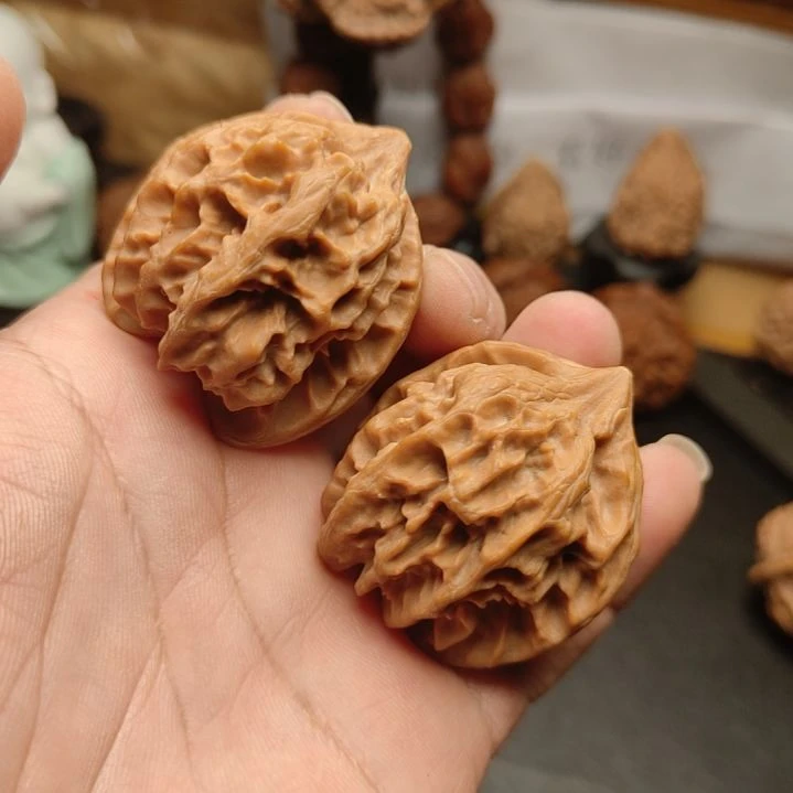 肆***室曹大龙有修尖核桃！！