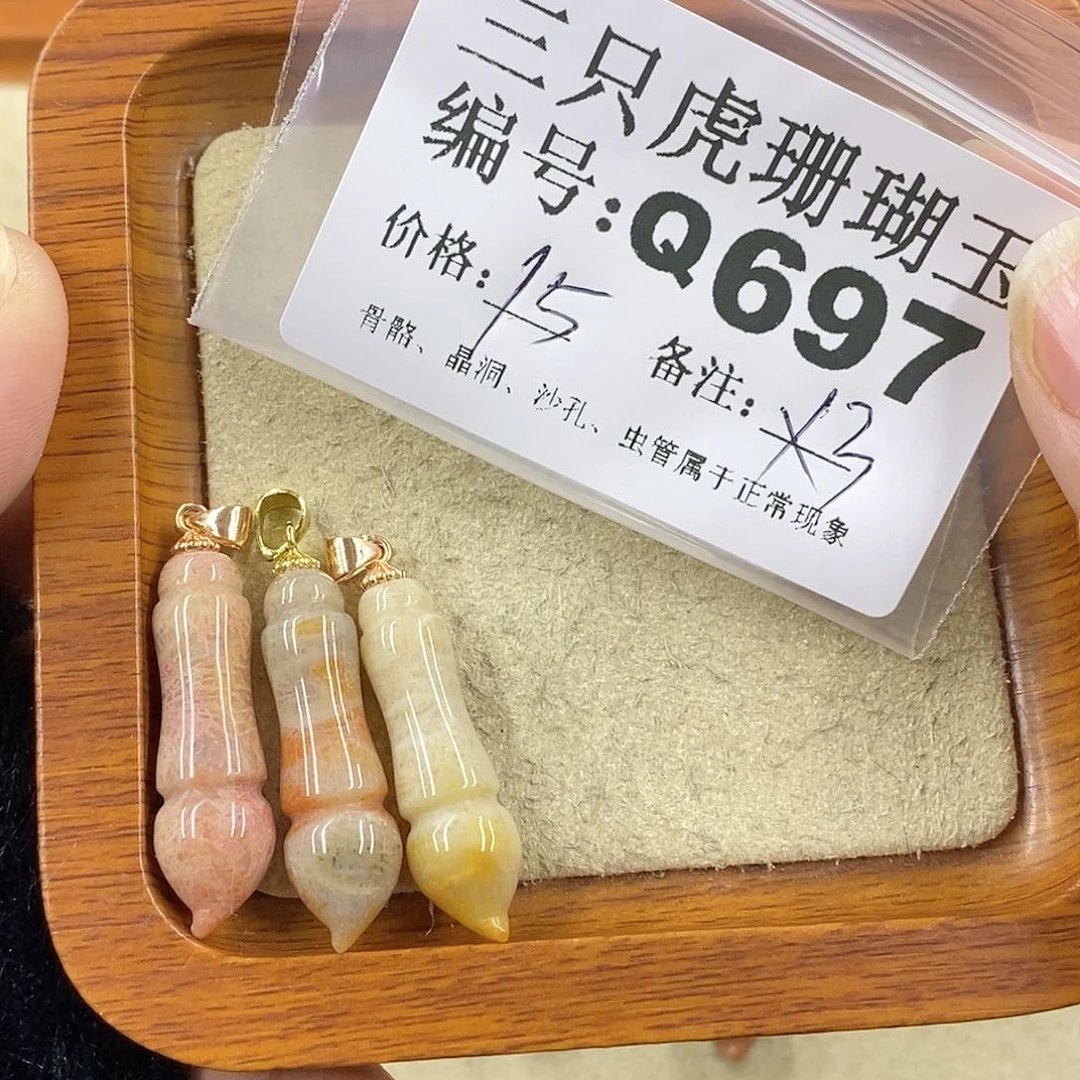 硅化珊瑚（珊瑚玉）1未镶嵌豆***王