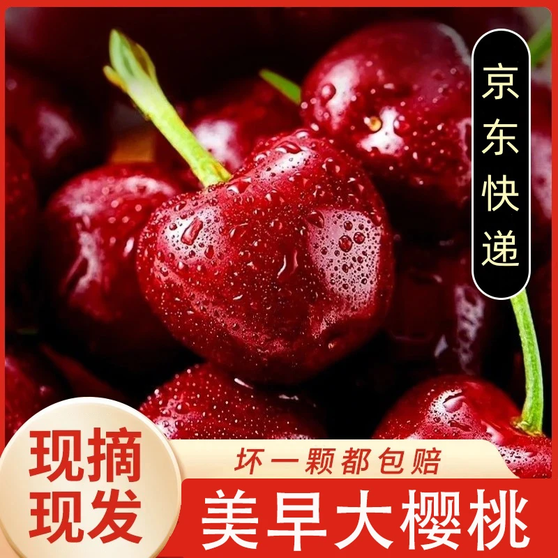 【京东】美早樱桃新鲜当季水果J-4J-2/3/5斤空运/陆运