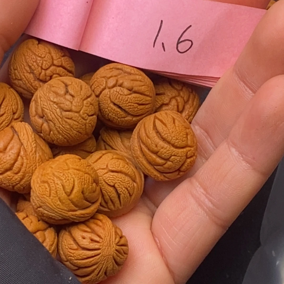 秦岭龙纹桃核15颗