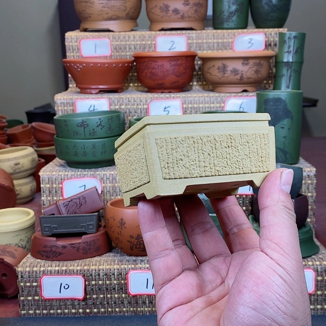 紫砂花盆木*我在等他