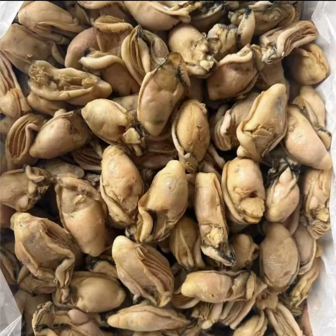 40头生晒大金蚝天然生晒无抽油新晒蚝干 正宗台山金蚝 海砺干