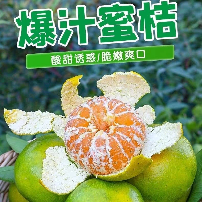 赣南现摘青皮蜜桔薄皮无籽酸甜橘子孕妇应季多汁水果
