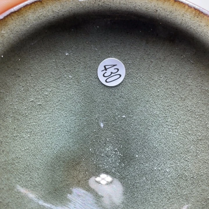 茶盏66666666666666666