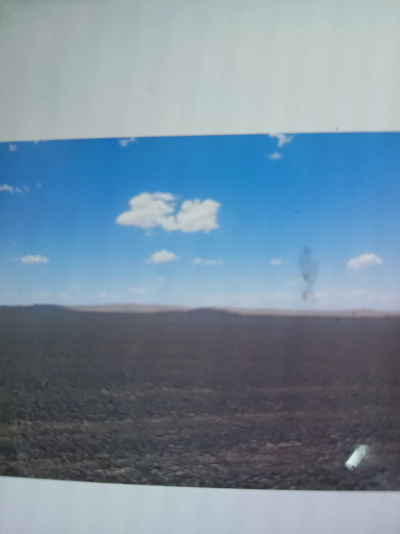 新疆戈壁石付米链接