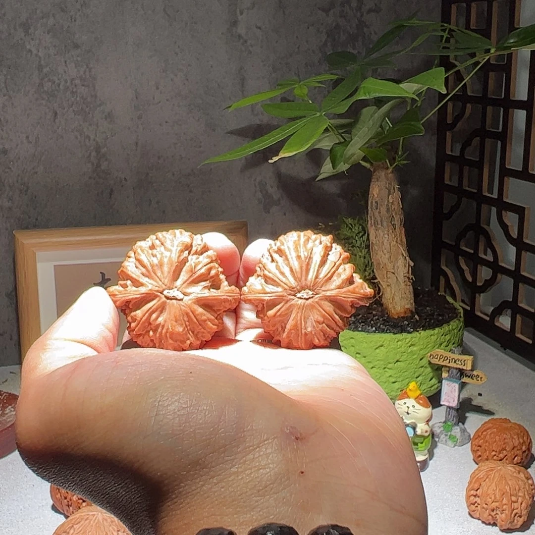 核桃40房山一代山地磨全品