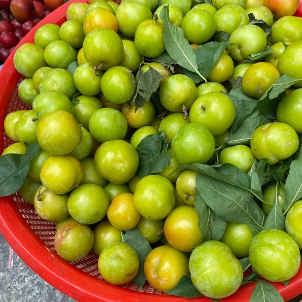 吕田甄选 山顶新鲜李仔