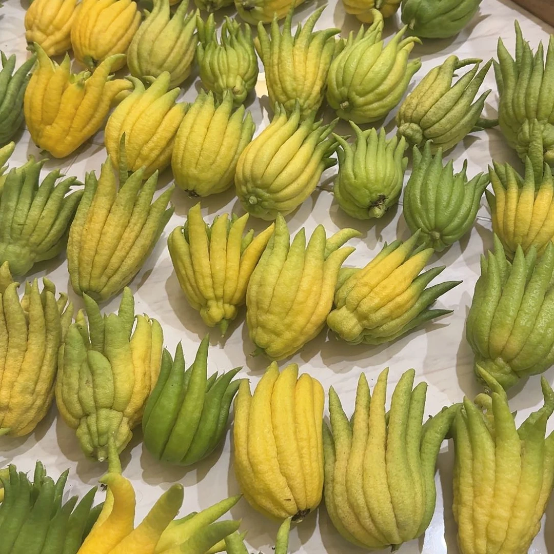 佛手清供茶宠摆件一个