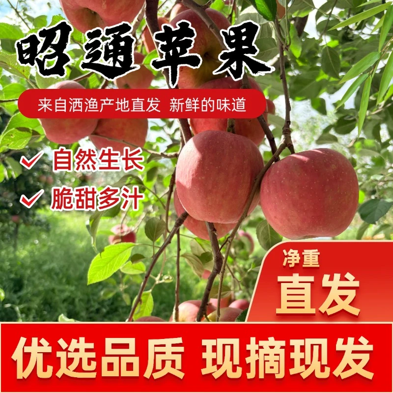 云南高原丑苹果新鲜脆甜多汁当季现摘水果