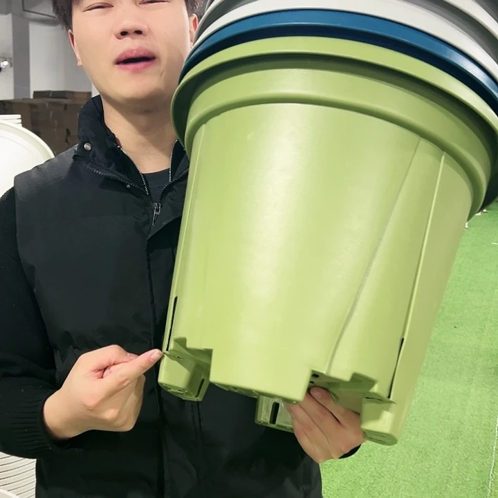 清仓青山口40高34果绿色5只无托