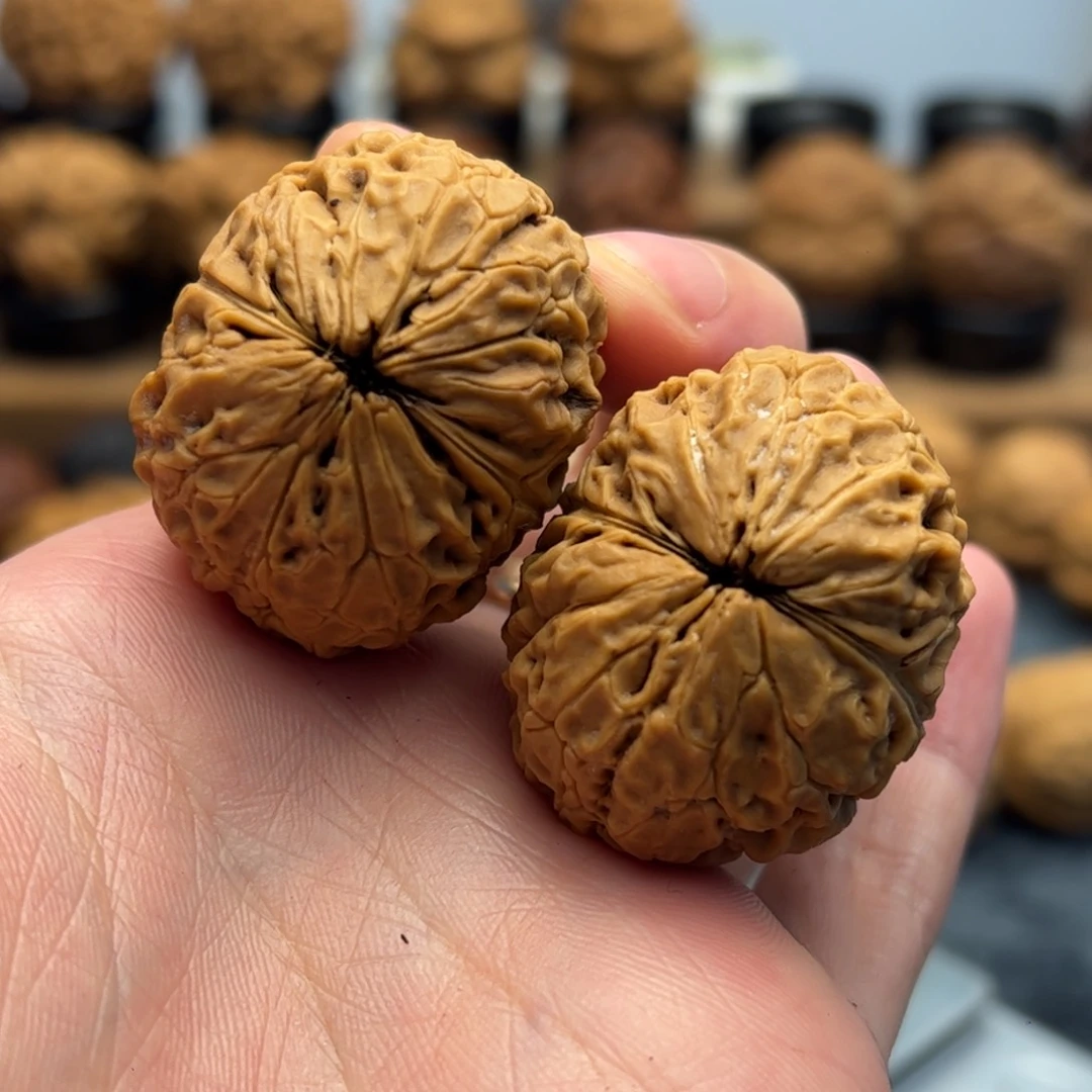 文玩核桃把件惍铁核桃12-20