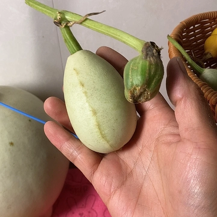 酒***子青皮腰子葫芦手把件