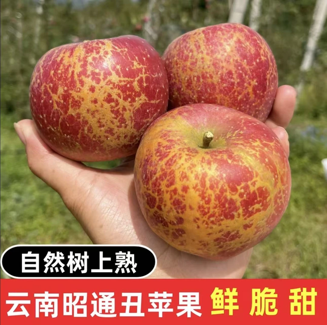【精选】正宗云南昭通丑苹果脆甜红富士苹果新鲜现摘当季整箱包邮