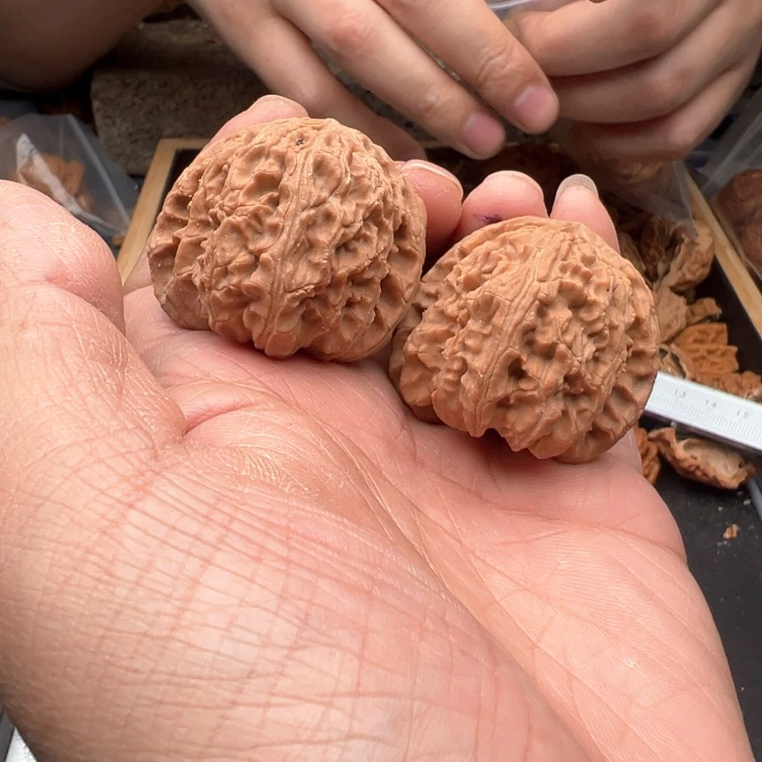 文玩核桃把件39左右白狮子