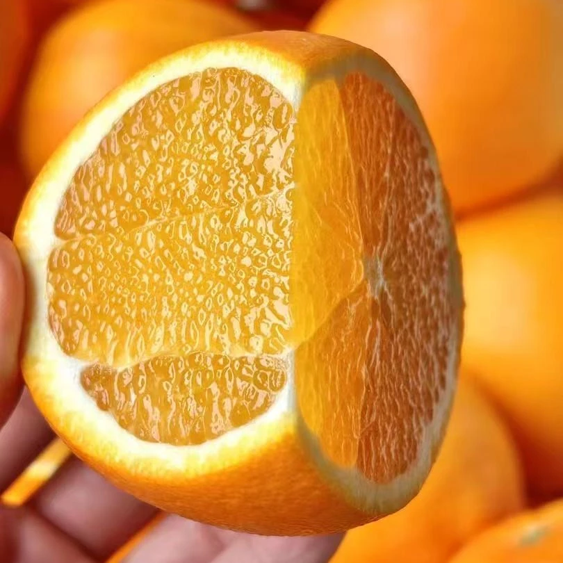 这个是补差价专用链接1