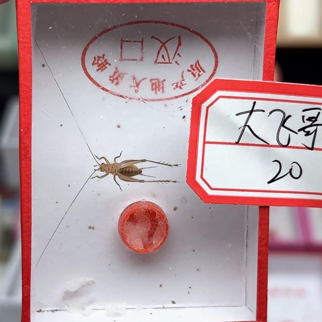 哈哈哈哈哈哈哈哈哈哈哈哈