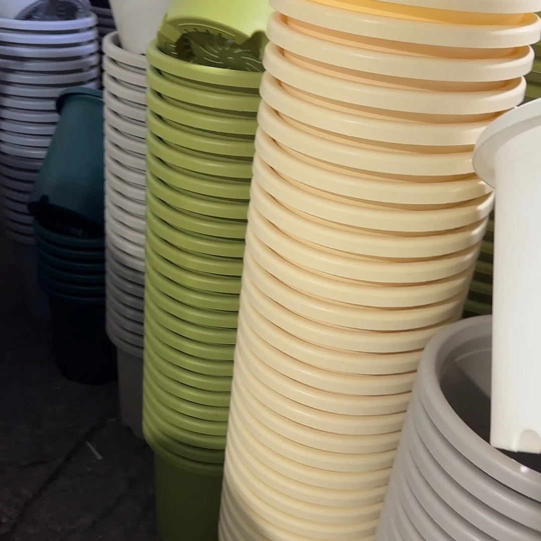 微瑕7号无托6个，果绿