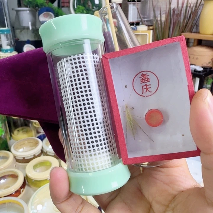 天青色竹蛉筒套啊啊啊啊啊